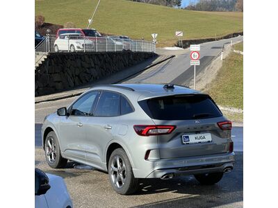 Ford Kuga Neuwagen