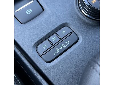 Ford Ranger Tageszulassung