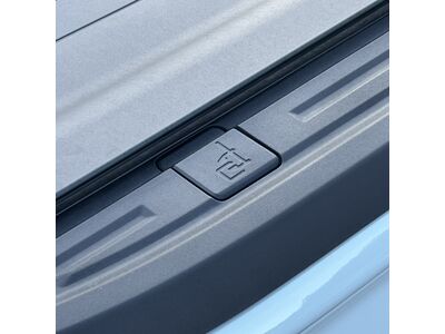 Ford Ranger Tageszulassung