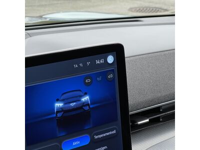 Ford Mustang Mach-E Gebrauchtwagen Ford Mustang Mach-E Gebrauchtwagen