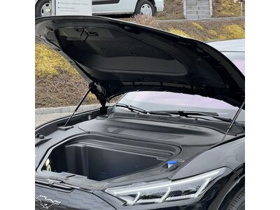 Ford Mustang Mach-E Gebrauchtwagen Ford Mustang Mach-E Gebrauchtwagen