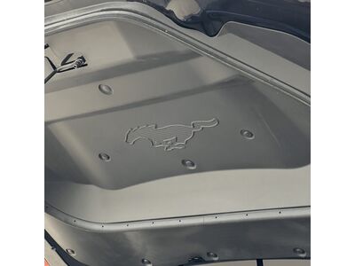 Ford Mustang Mach-E Gebrauchtwagen Ford Mustang Mach-E Gebrauchtwagen