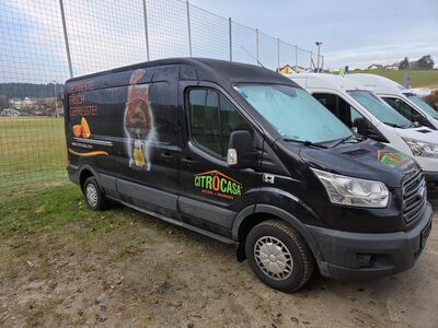Ford Transit Gebrauchtwagen