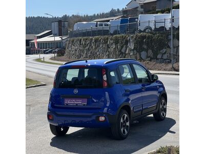 Fiat Panda Gebrauchtwagen