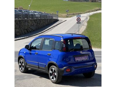 Fiat Panda Gebrauchtwagen