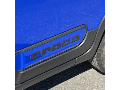 Fiat Panda Gebrauchtwagen