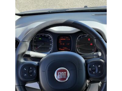 Fiat Panda Gebrauchtwagen