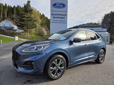 Ford Kuga Gebrauchtwagen
