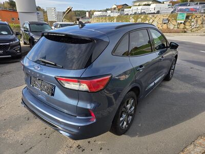 Ford Kuga Gebrauchtwagen