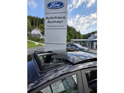 Ford Puma Neuwagen Ford Puma Neuwagen