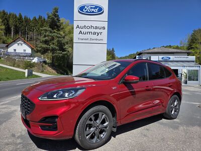 Ford Kuga Gebrauchtwagen