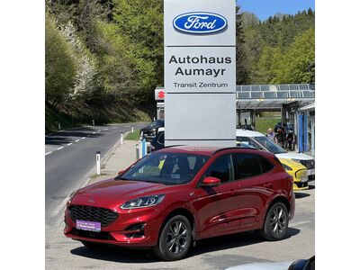 Ford Kuga Gebrauchtwagen