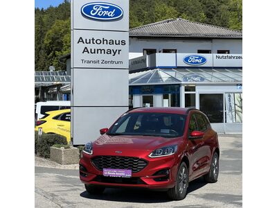 Ford Kuga Gebrauchtwagen