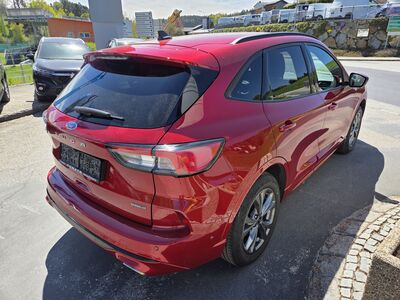 Ford Kuga Gebrauchtwagen