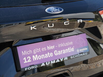 Ford Kuga Gebrauchtwagen