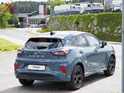 Ford Puma Neuwagen Ford Puma Neuwagen