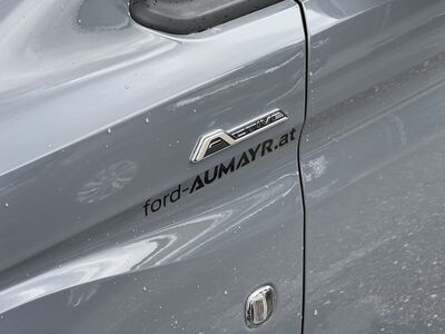 Ford Tourneo Connect Gebrauchtwagen
