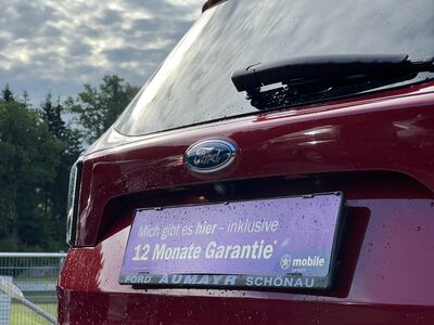 Ford Kuga Gebrauchtwagen Ford Kuga Gebrauchtwagen