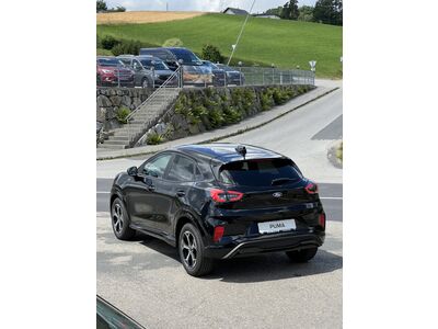 Ford Puma Neuwagen