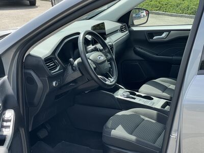 Ford Kuga Gebrauchtwagen Ford Kuga Gebrauchtwagen