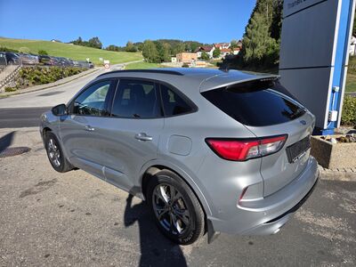 Ford Kuga Gebrauchtwagen Ford Kuga Gebrauchtwagen