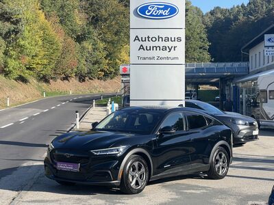Ford Mustang Mach-E Gebrauchtwagen Ford Mustang Mach-E Gebrauchtwagen