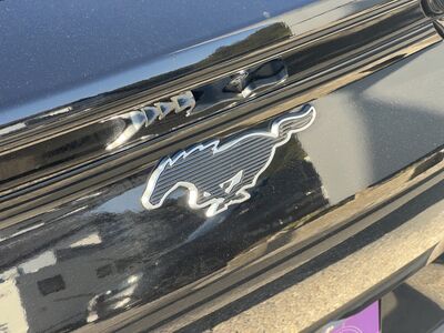 Ford Mustang Mach-E Gebrauchtwagen Ford Mustang Mach-E Gebrauchtwagen