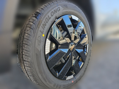 Dacia Spring Vorführwagen