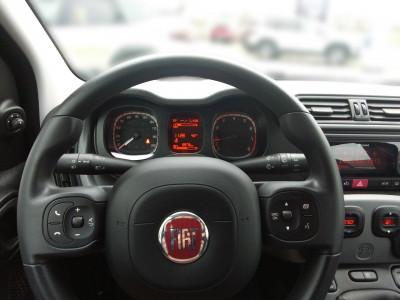 Fiat Panda Gebrauchtwagen
