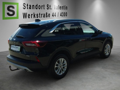Ford Kuga Gebrauchtwagen Ford Kuga Gebrauchtwagen