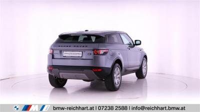 Land Rover Range Rover Evoque Gebrauchtwagen