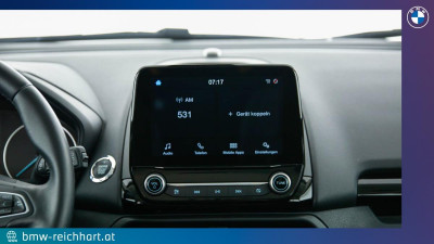 Ford EcoSport Gebrauchtwagen