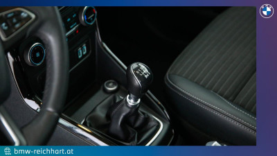 Ford EcoSport Gebrauchtwagen