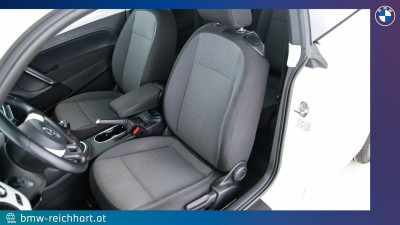 VW Beetle Gebrauchtwagen