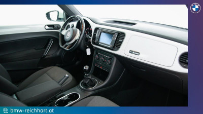 VW Beetle Gebrauchtwagen