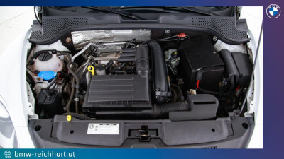 VW Beetle Gebrauchtwagen