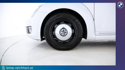 VW Beetle Gebrauchtwagen