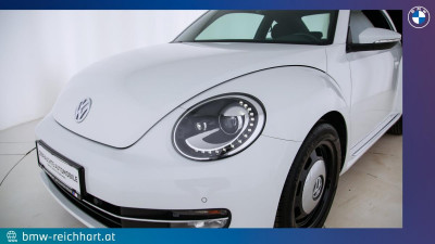 VW Beetle Gebrauchtwagen