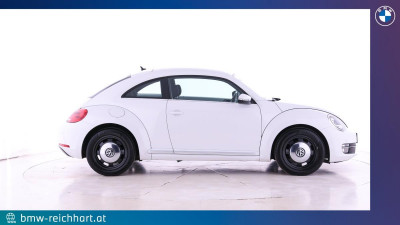 VW Beetle Gebrauchtwagen