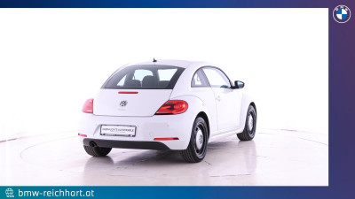 VW Beetle Gebrauchtwagen