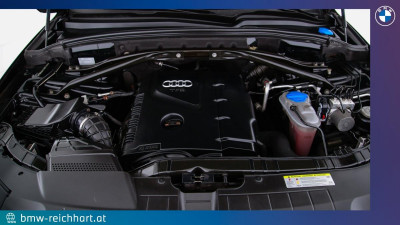 Audi Q5 Gebrauchtwagen Audi Q5 Gebrauchtwagen