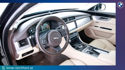 Jaguar XF Gebrauchtwagen Jaguar XF Gebrauchtwagen