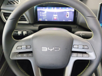 BYD Atto 2 Vorführwagen BYD Atto 2 Vorführwagen