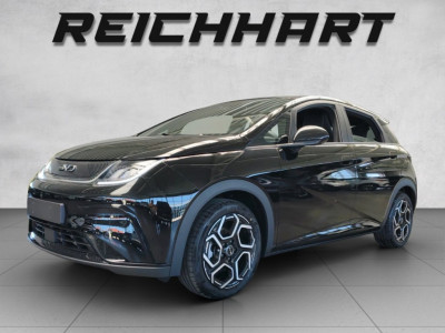 BYD Dolphin Vorführwagen BYD Dolphin Vorführwagen