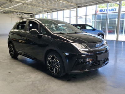 BYD Dolphin Vorführwagen BYD Dolphin Vorführwagen