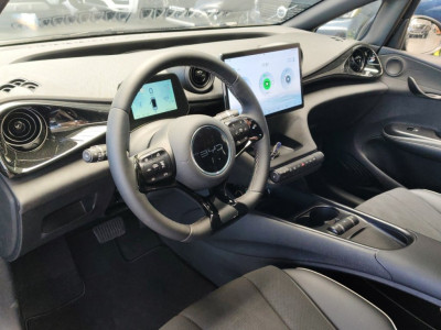 BYD Dolphin Vorführwagen BYD Dolphin Vorführwagen