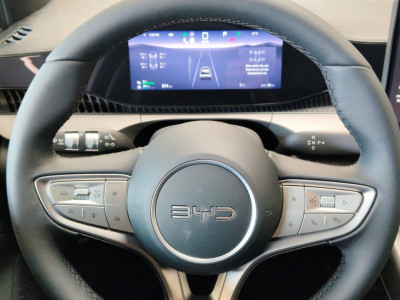 BYD Dolphin G Vorführwagen BYD Dolphin G Vorführwagen