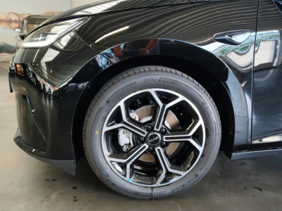 BYD Dolphin G Vorführwagen BYD Dolphin G Vorführwagen
