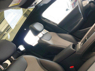 BYD Dolphin G Vorführwagen BYD Dolphin G Vorführwagen