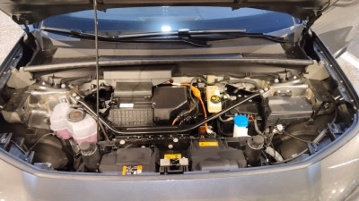 Ford Capri Neuwagen Ford Capri Neuwagen